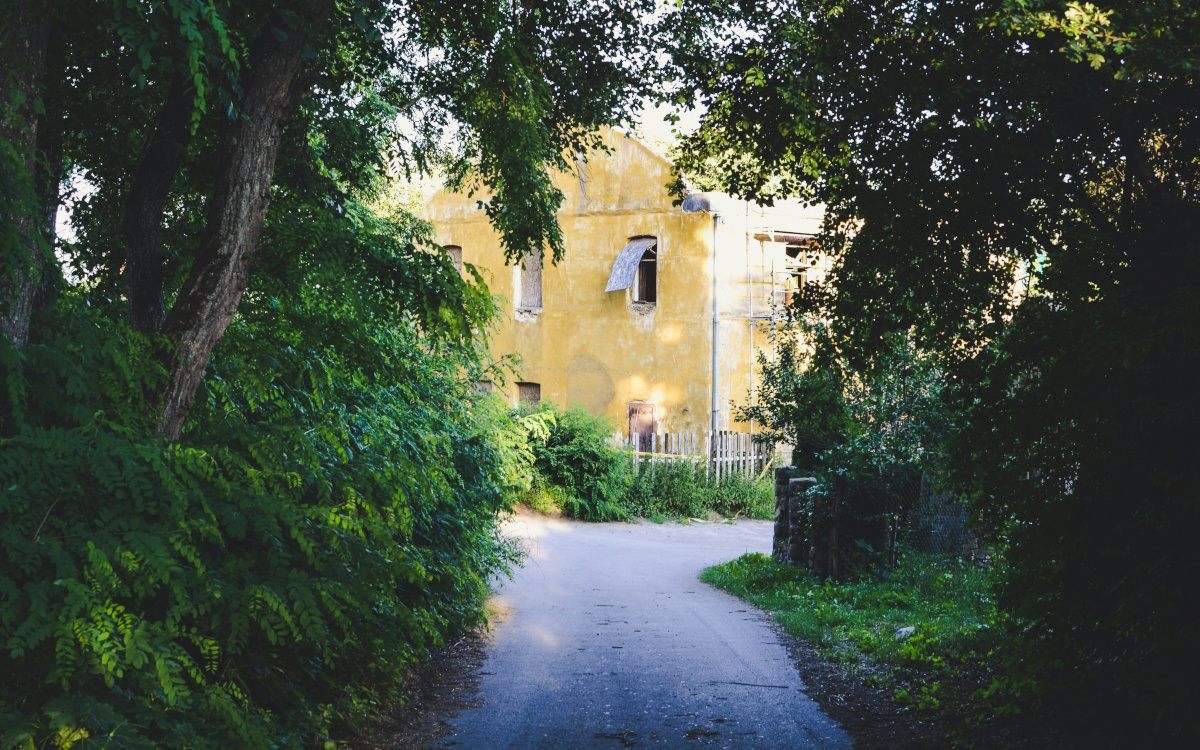 Garden path leading to a house hidden behind trees